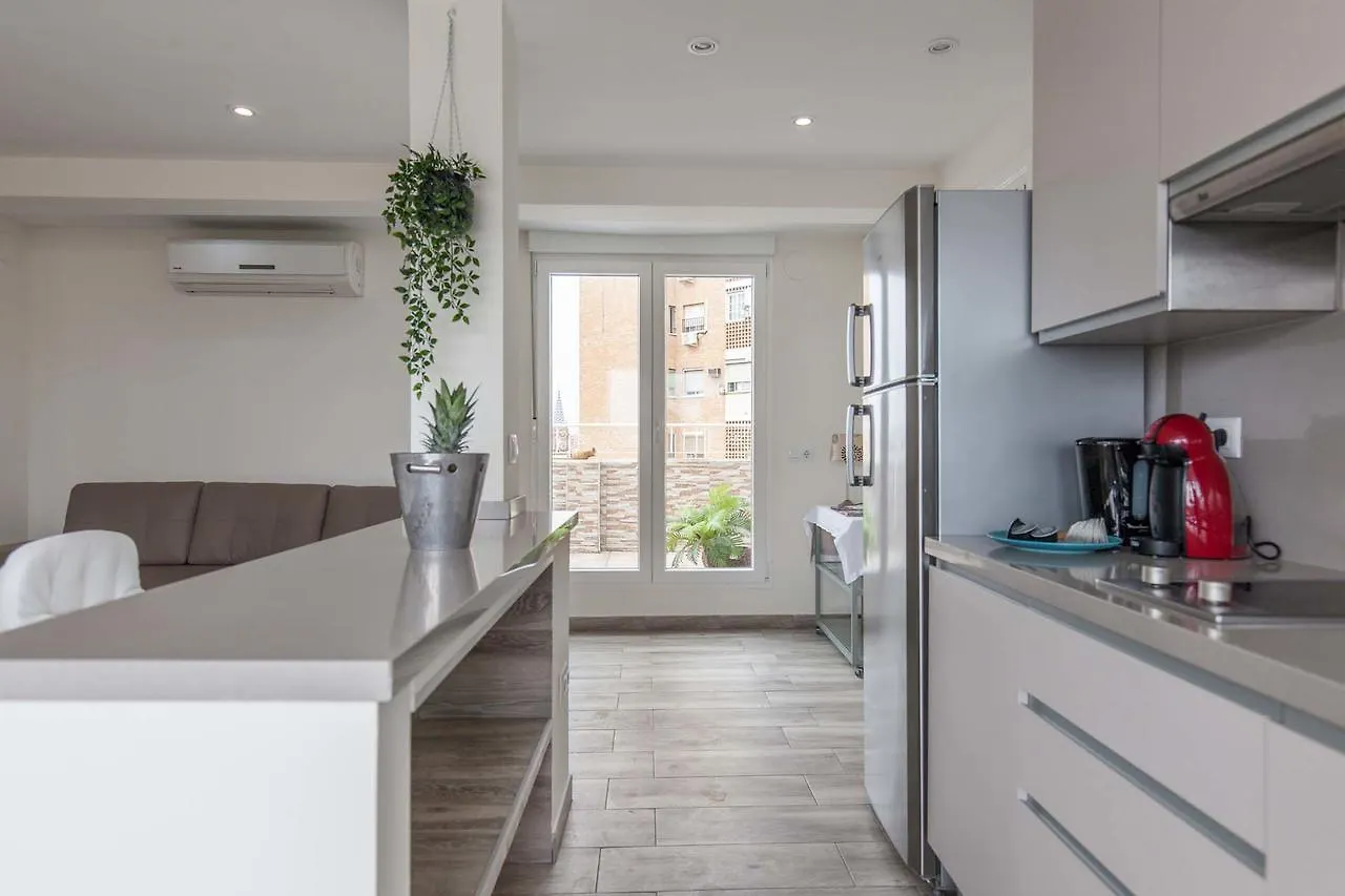 Atico Gran Terraza Triana Apartment Seville