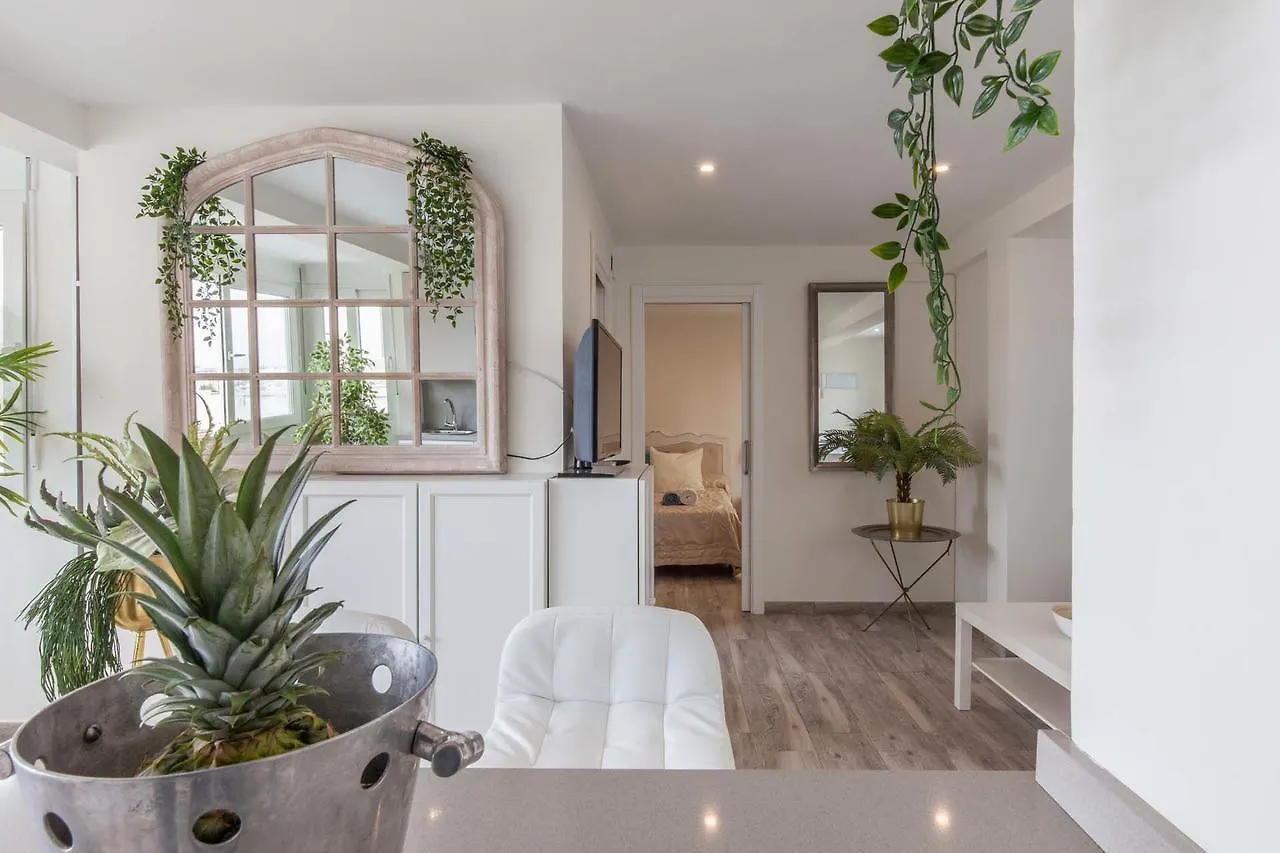 Atico Gran Terraza Triana Apartment Seville