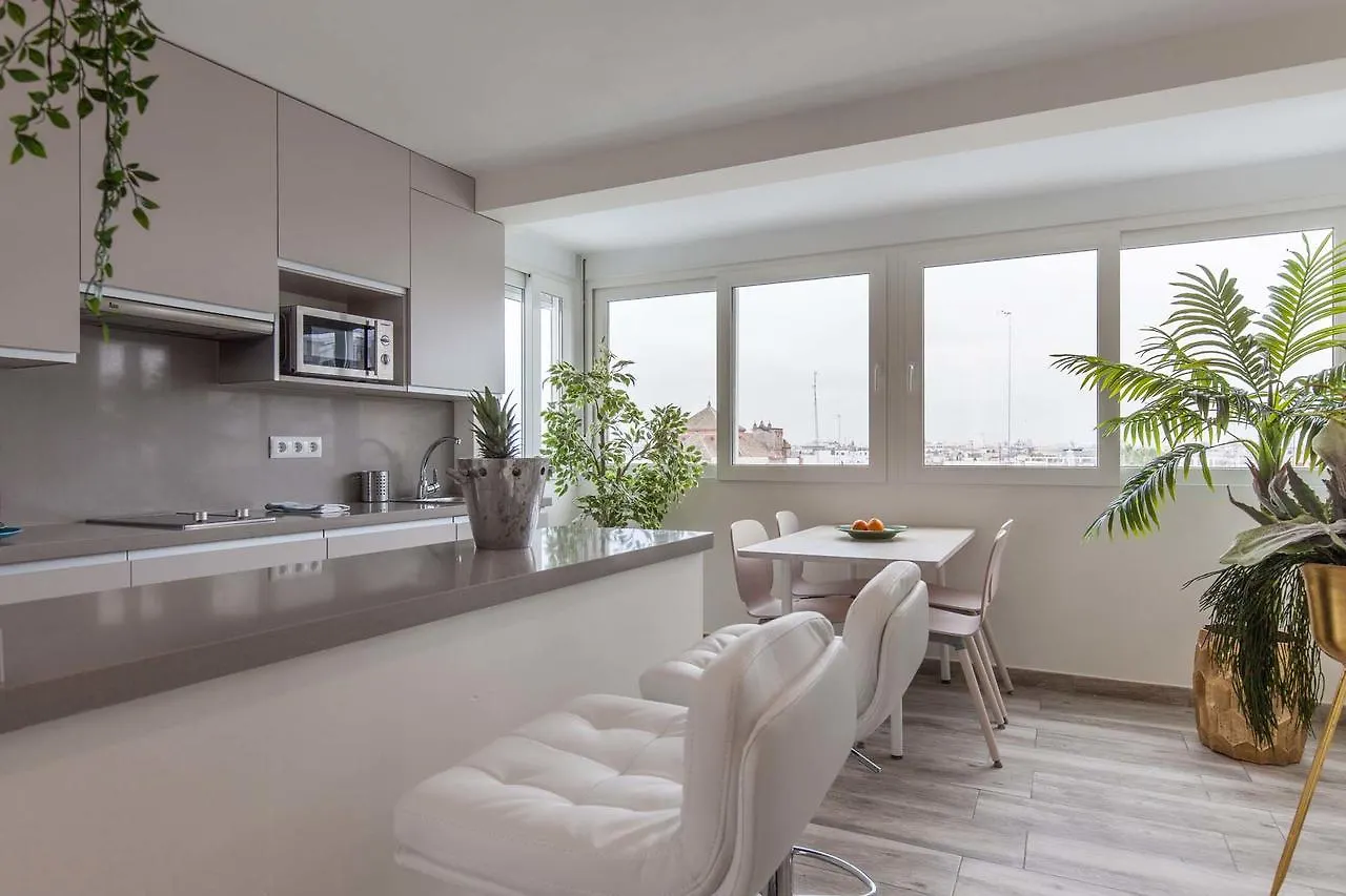 Atico Gran Terraza Triana Apartment Seville Spain