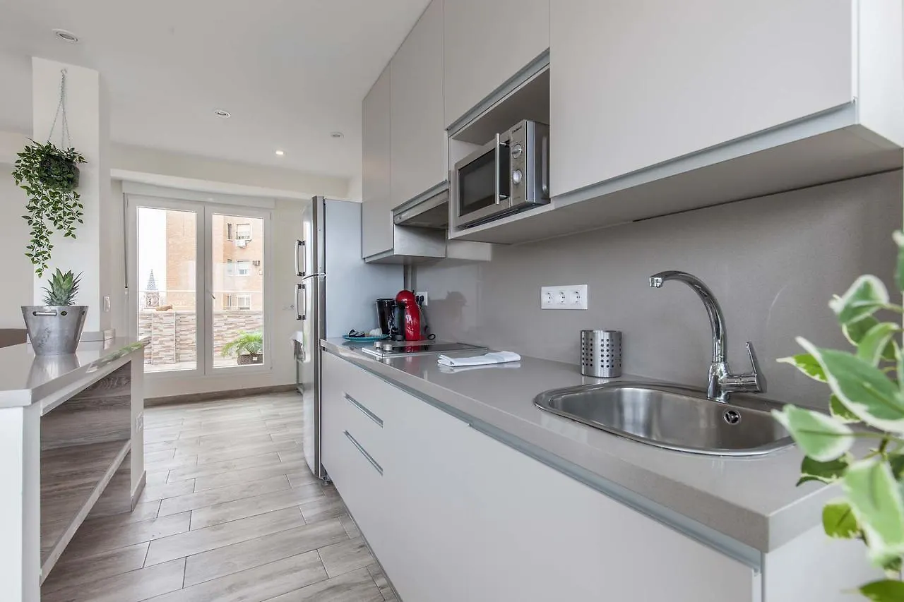 Atico Gran Terraza Triana Apartment Seville